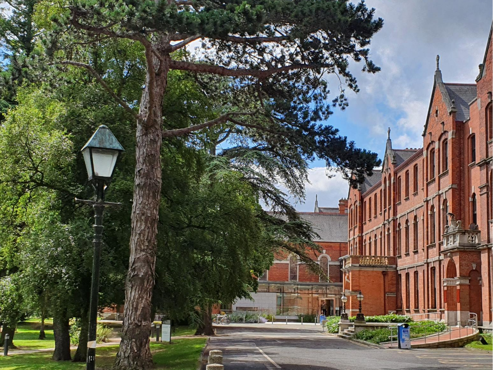 UCD_Smurfit_exterior_2