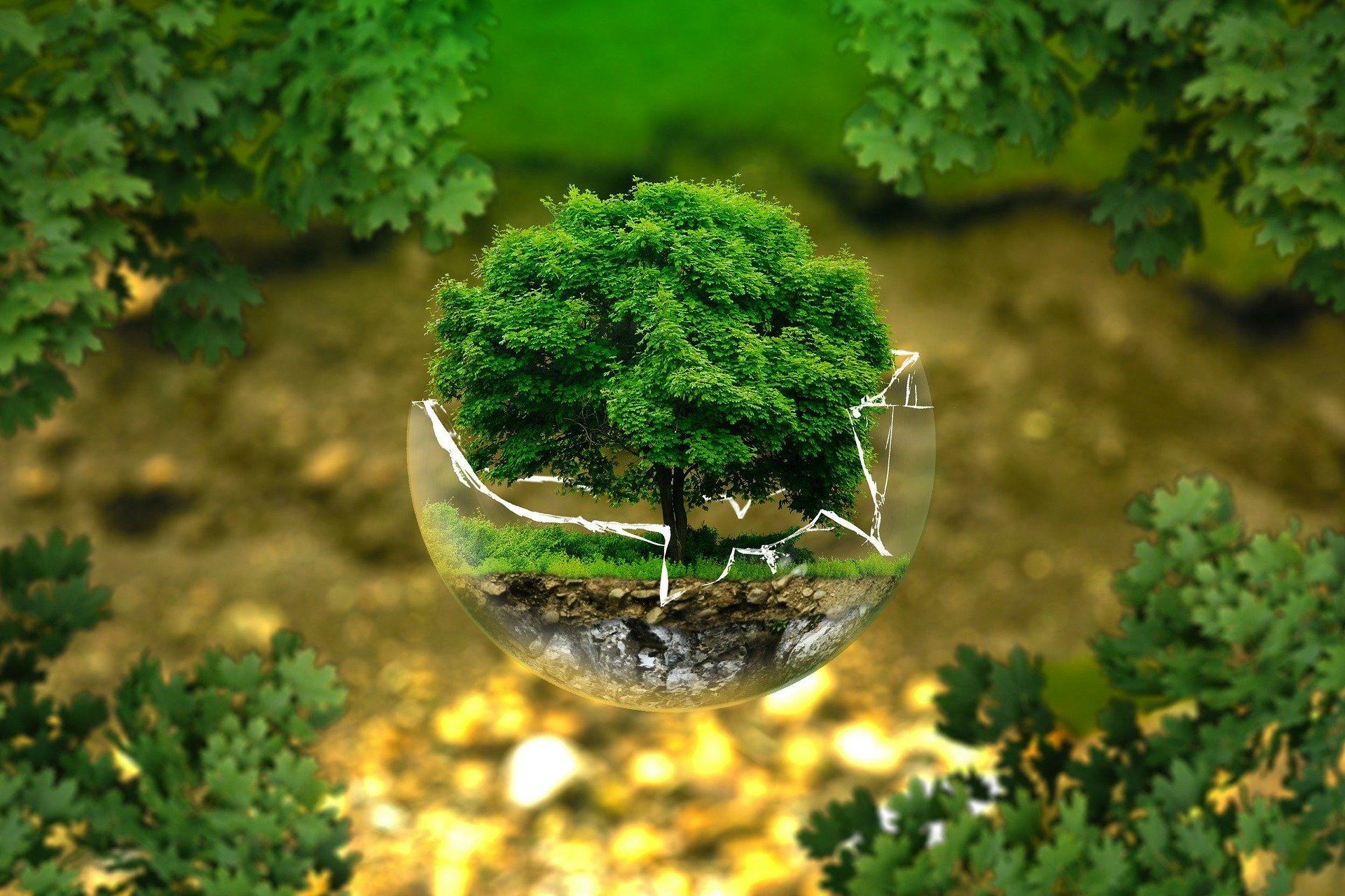 SUSTAINABLE2